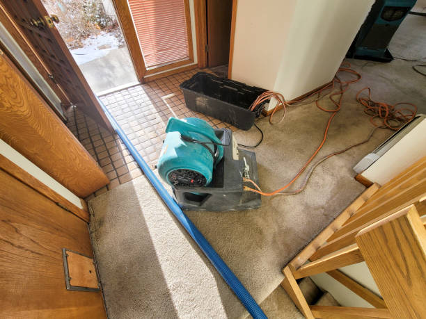 Best Water damage restoration services  in St Gabriel, LA