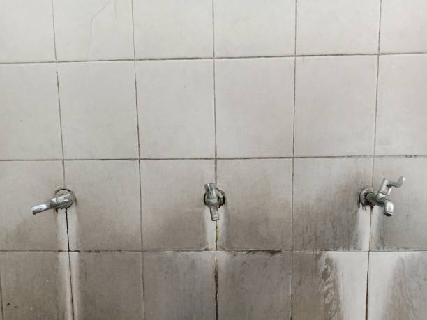 Best Carpet water damage restoration  in St Gabriel, LA